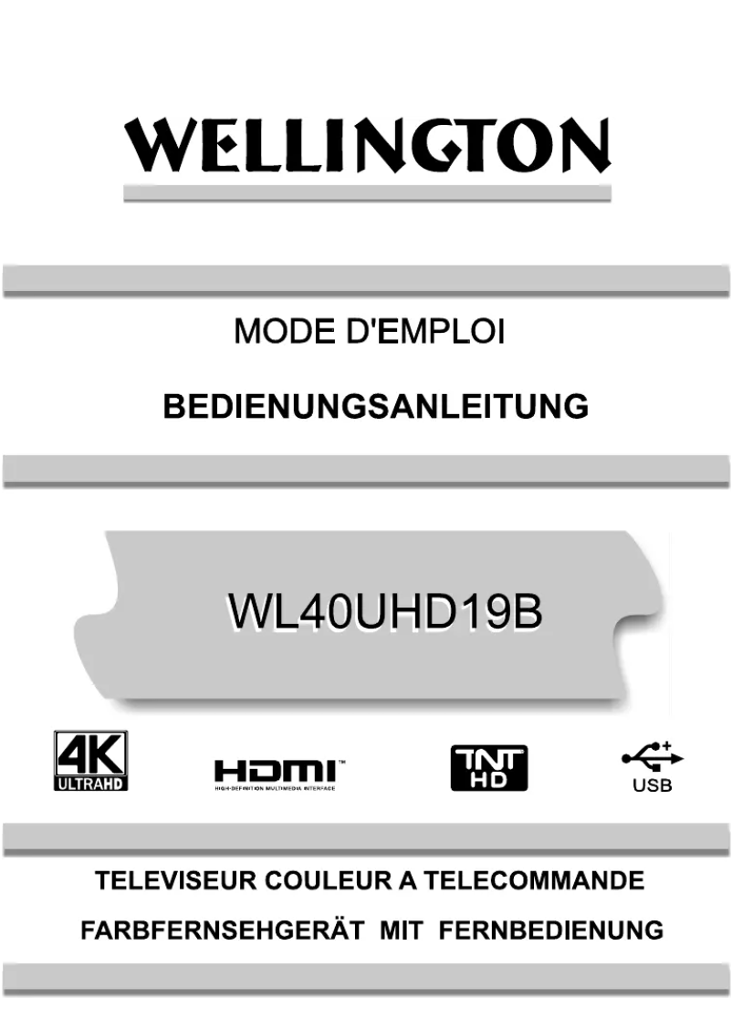 Page 1 de la notice Manuel utilisateur Wellington WL40UHD19B