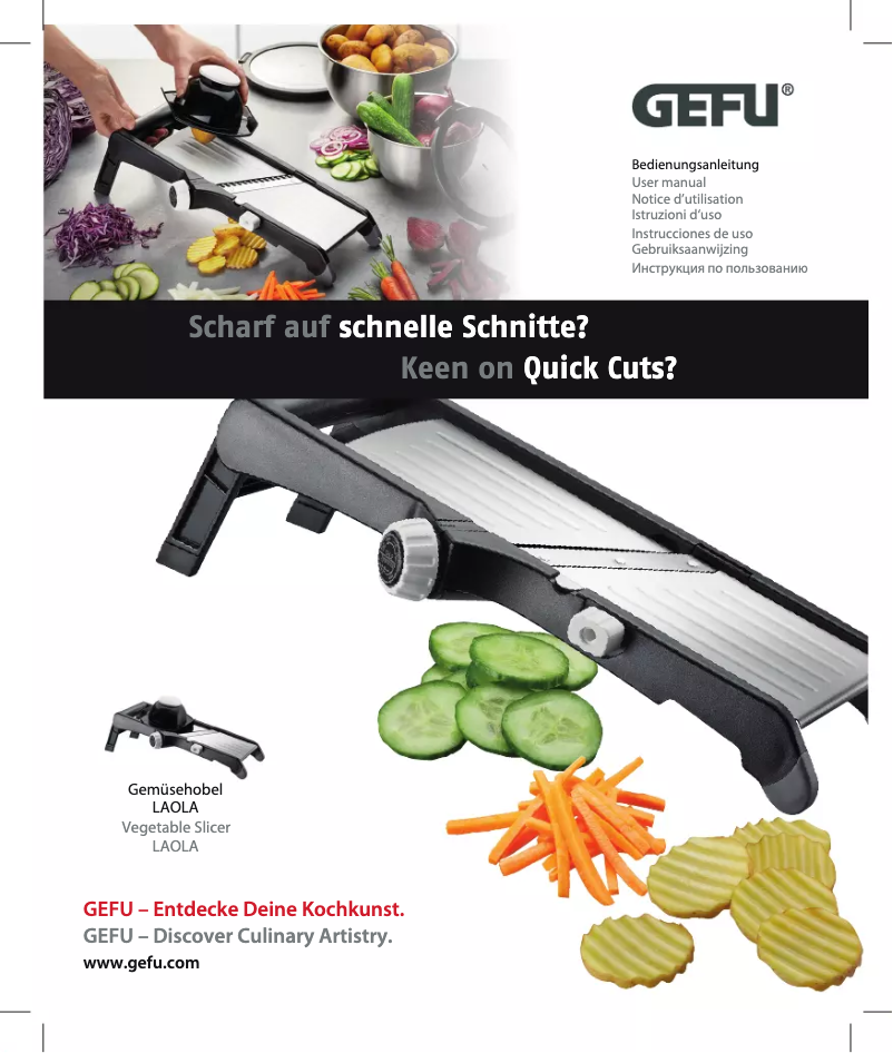 First page image of the manual for LAOLA