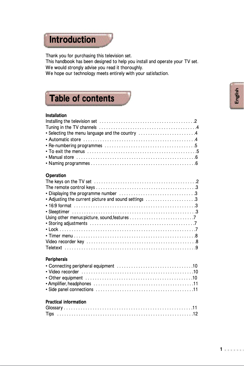 Image de la première page du manuel de l'appareil 21PT5324