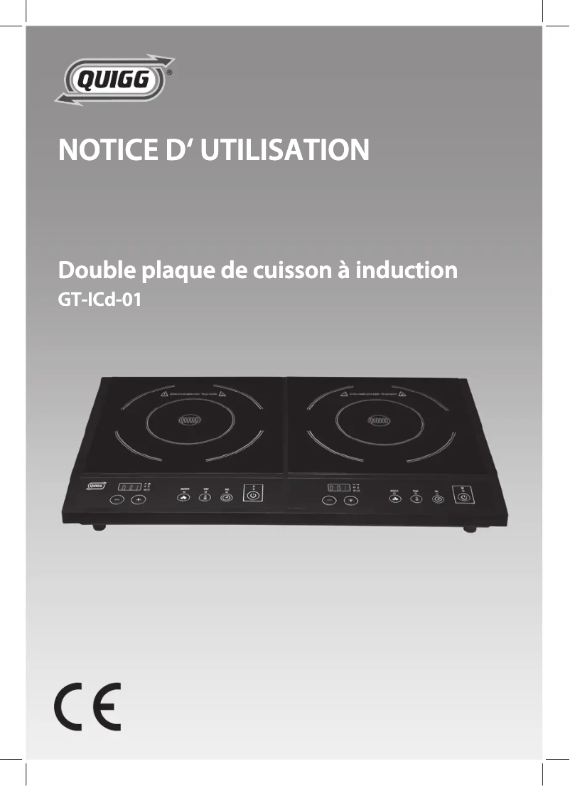 Page 1 de la notice Manuel utilisateur Quigg GT-LCd-01