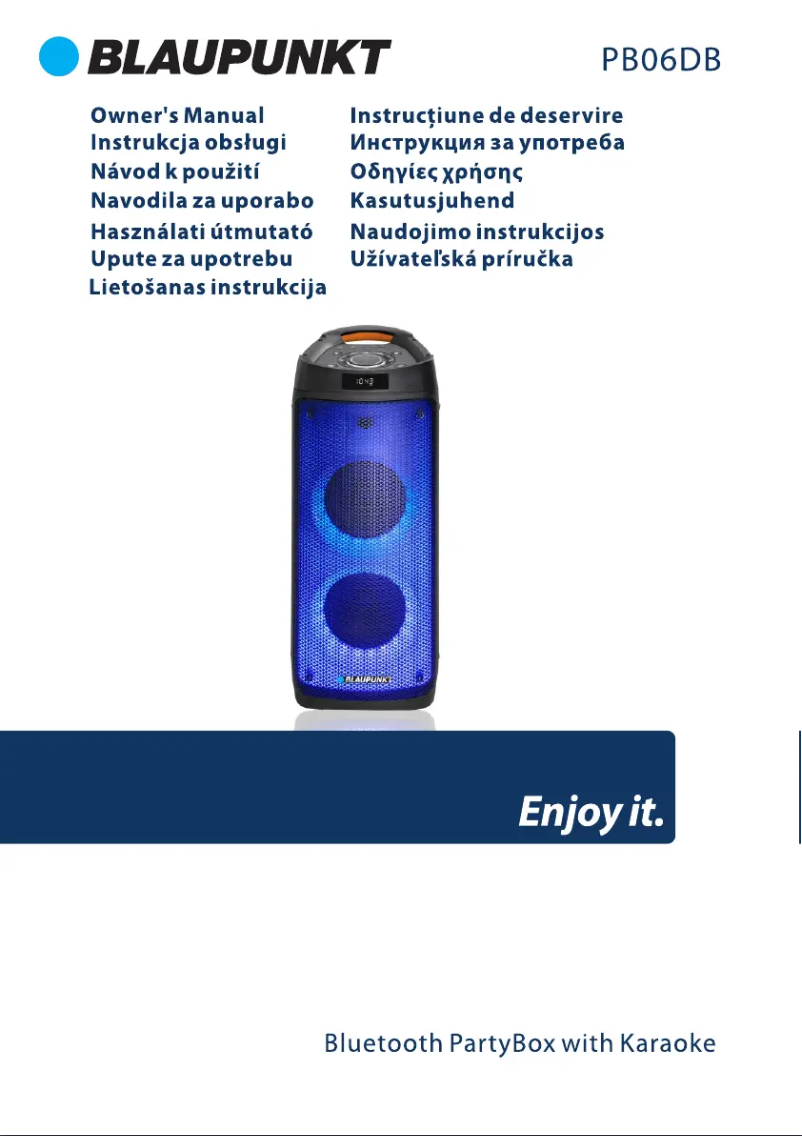Page 1 de la notice Manuel utilisateur Blaupunkt PB06DB