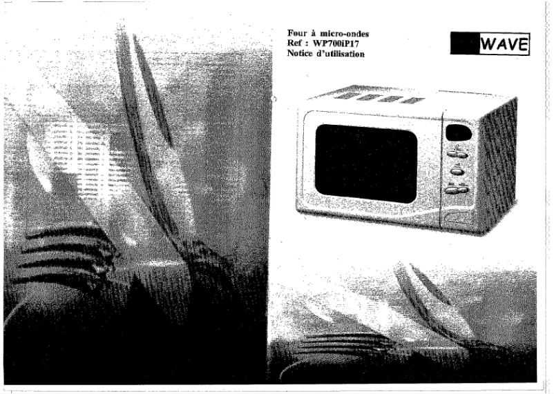 Page 1 de la notice Manuel utilisateur Kerwave WP700IP17