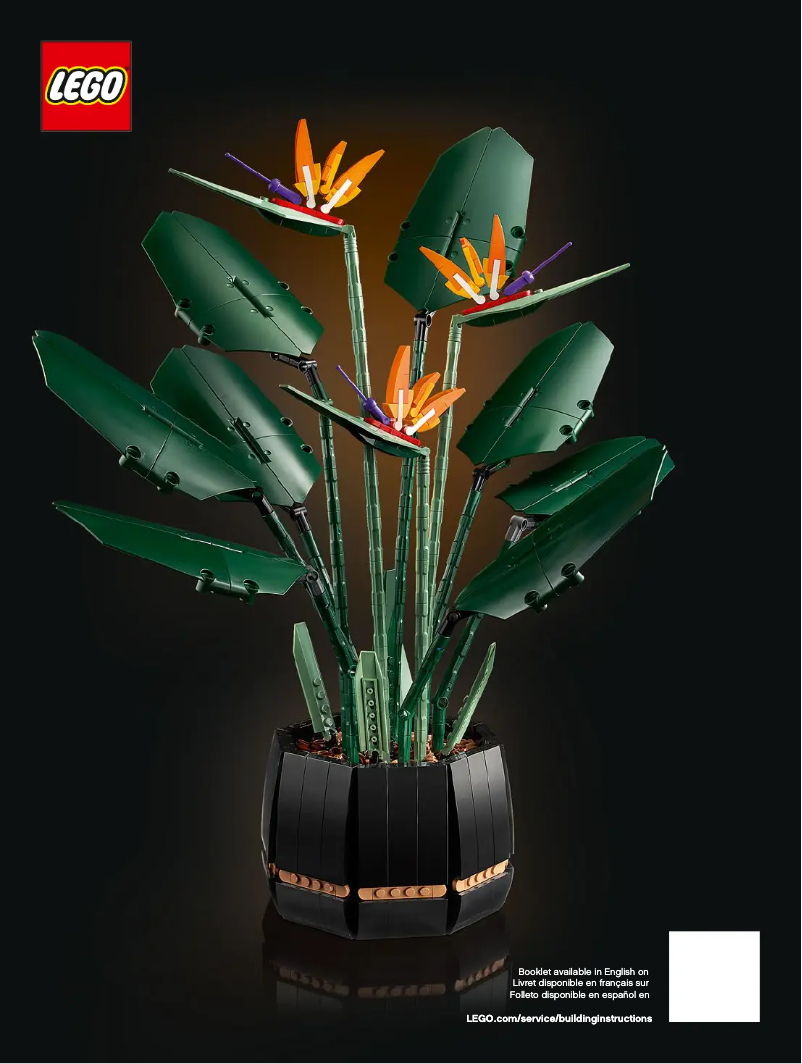 Page n°1 - Manuel utilisateur Lego Icons 10289