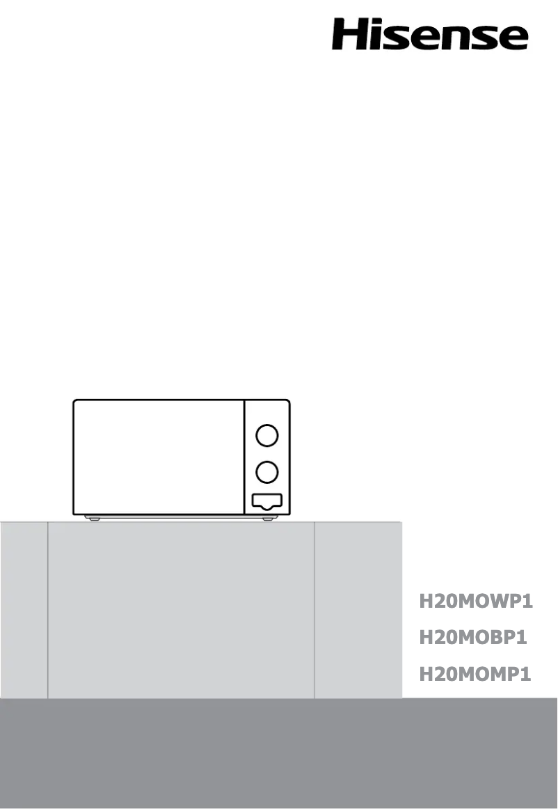 Page 1 de la notice Manuel utilisateur Hisense H20MOWP1