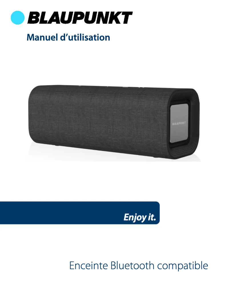 Page 1 de la notice Manuel utilisateur Blaupunkt BLP3710