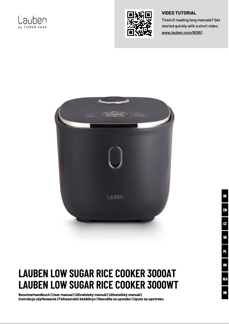Page 1 de la notice Manuel utilisateur Lauben 3000AT