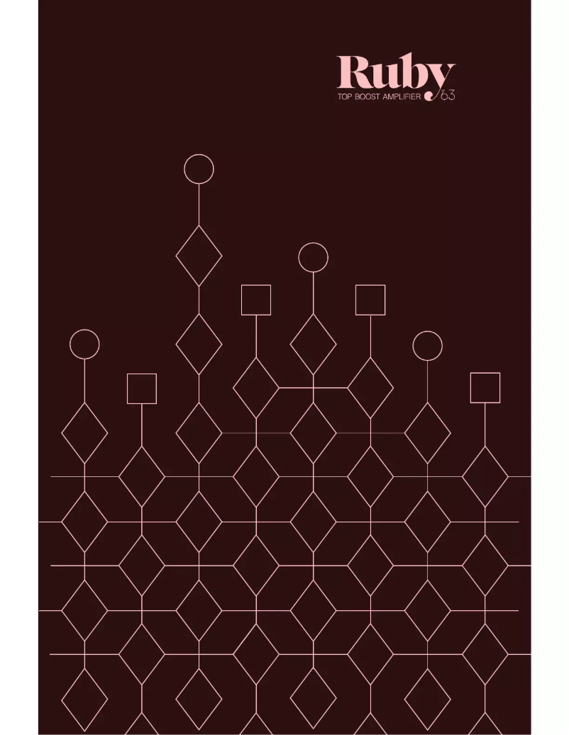 Page 1 de la notice Manuel utilisateur Universal Audio Ruby '63