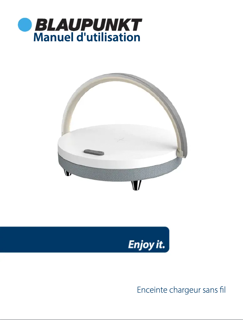 Página 1 del manual Manual de usuario Blaupunkt BLP0420