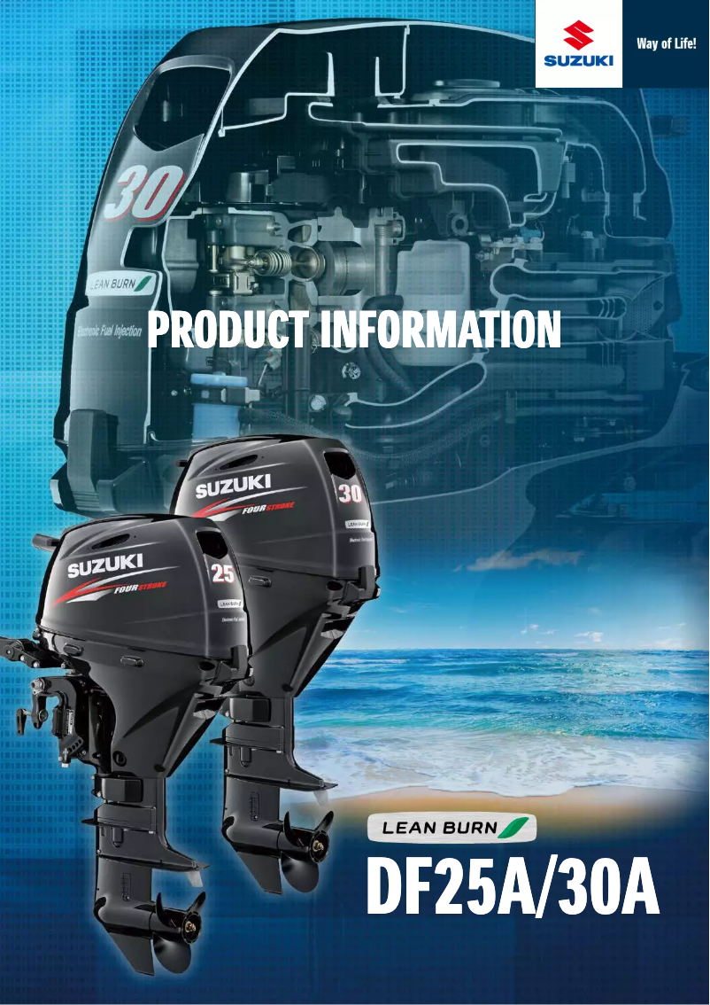 Image de la première page du manuel de l'appareil DF30A