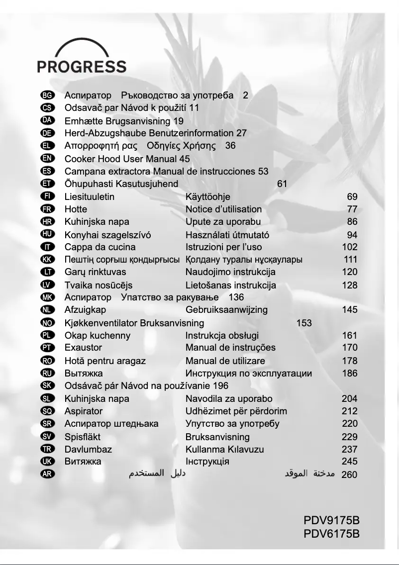 Image de la première page du manuel de l'appareil PDV6175B