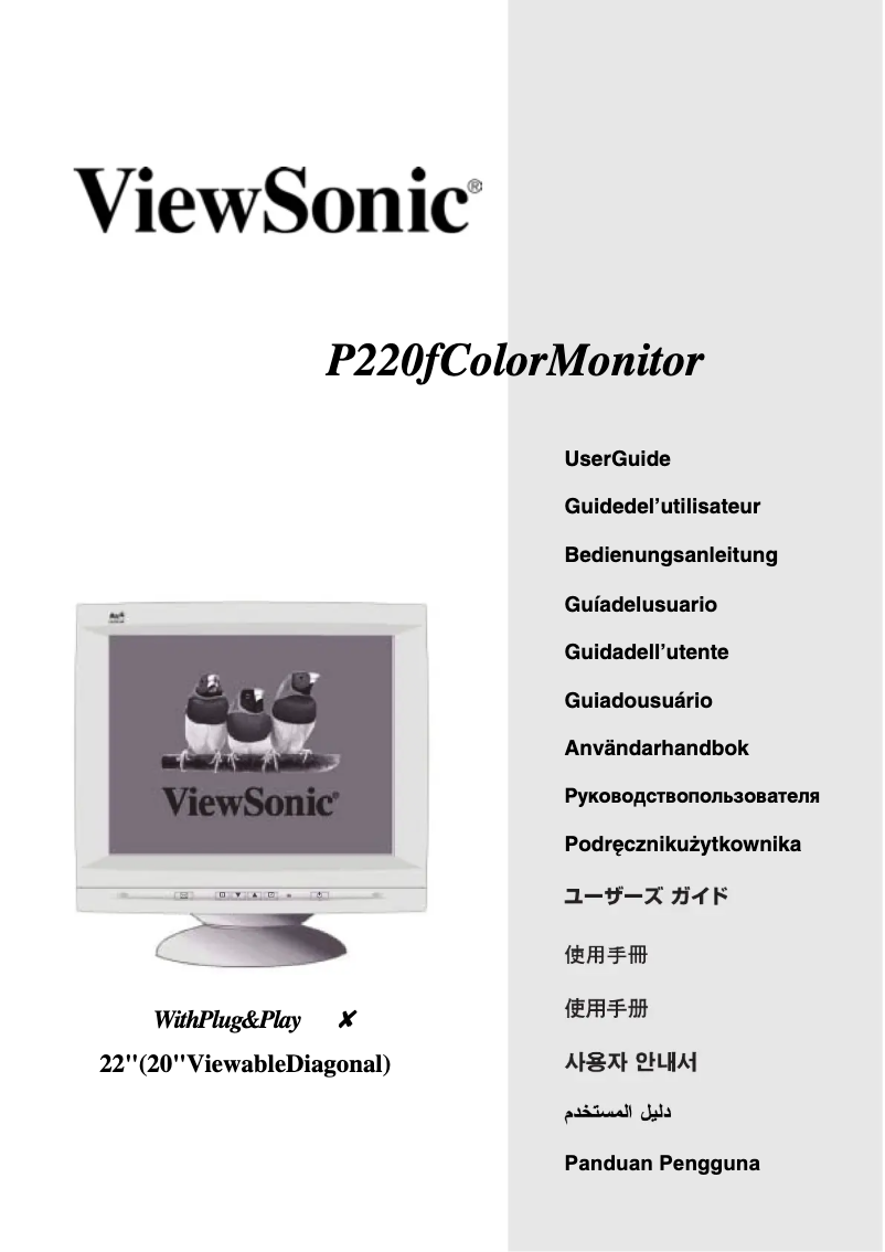 Página 1 del manual Manual de usuario Viewsonic P220f
