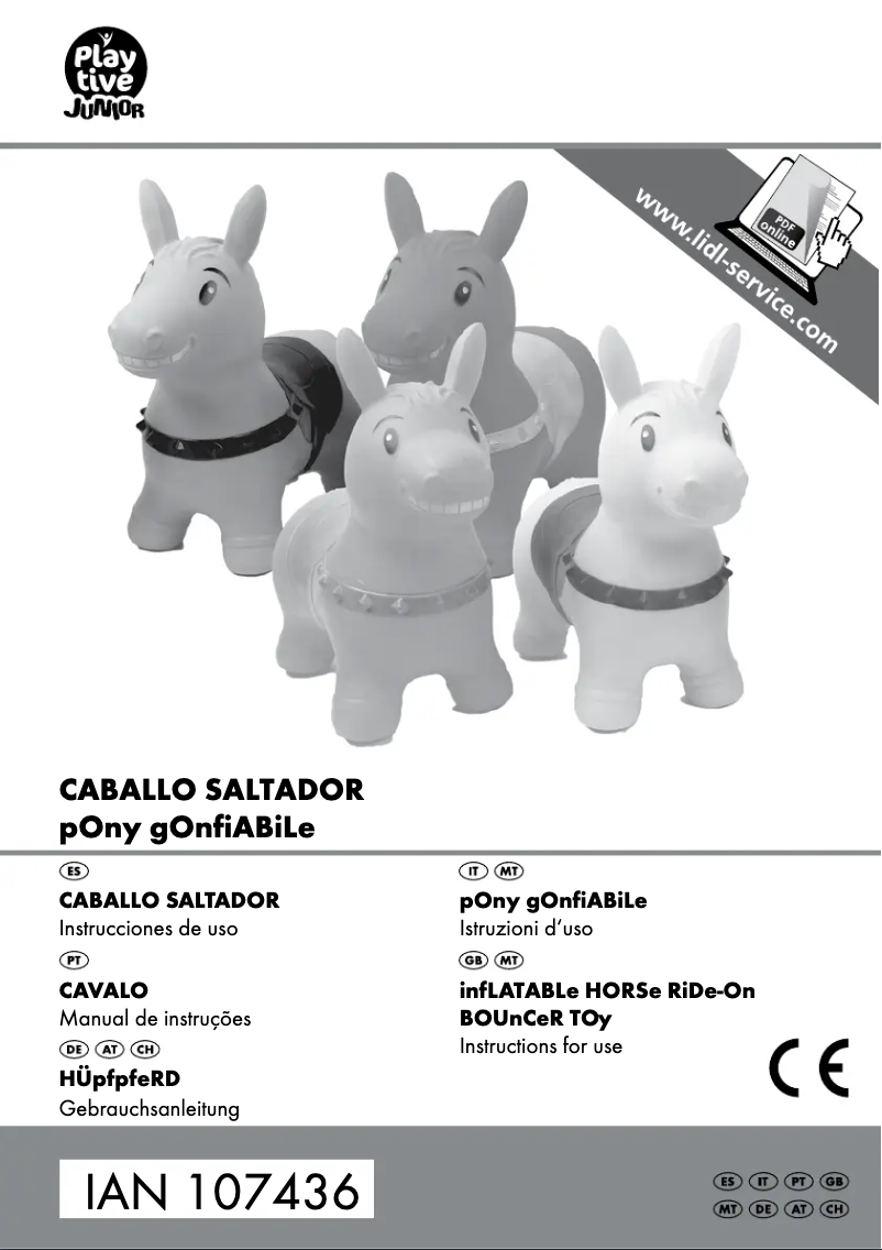 Imagen de la primera página del manual del dispositivo IAN 107436