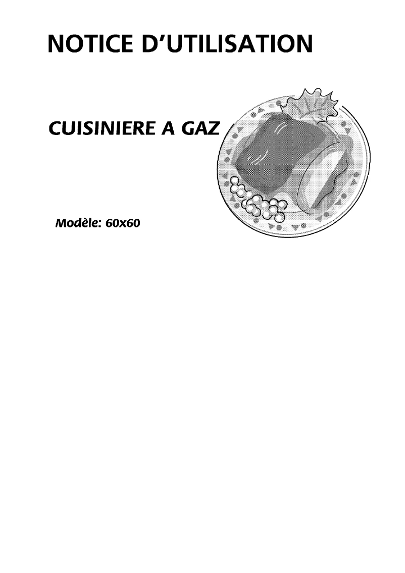 Page n°1 - Manuel utilisateur Bluesky BCG 6065