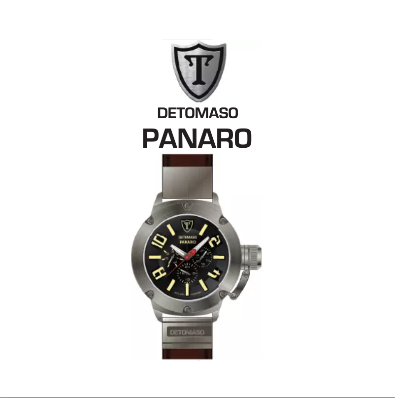 Page 1 de la notice Manuel utilisateur Detomaso Panaro