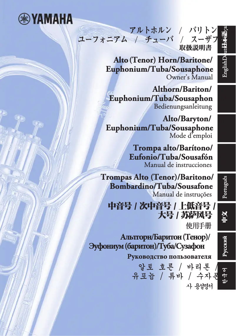 Page 1 de la notice Manuel utilisateur Yamaha YBB-321S