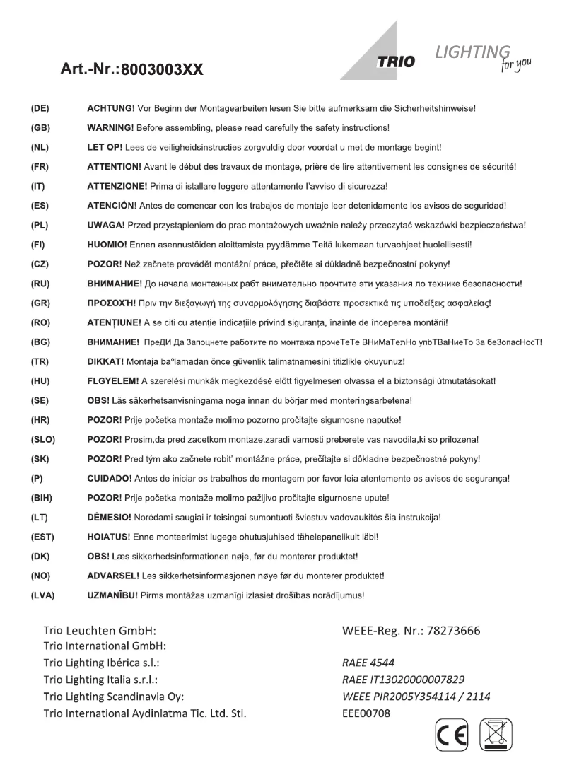 Page 1 de la notice Manuel utilisateur Trio Lighting Houston 800300311