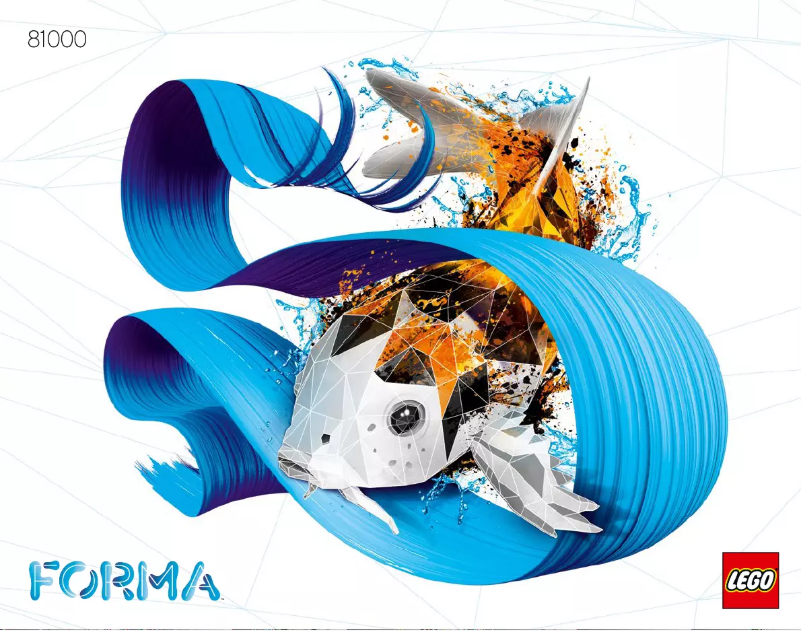 Page n°1 - Manuel utilisateur Lego Forma 81000