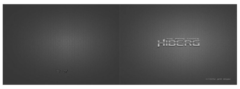 Page 1 de la notice Manuel utilisateur Hiberg F-91FGW