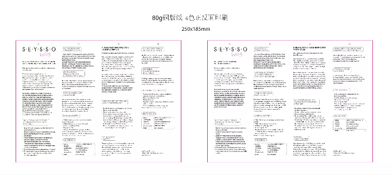 Page 1 de la notice Manuel utilisateur SEYSSO Penguin