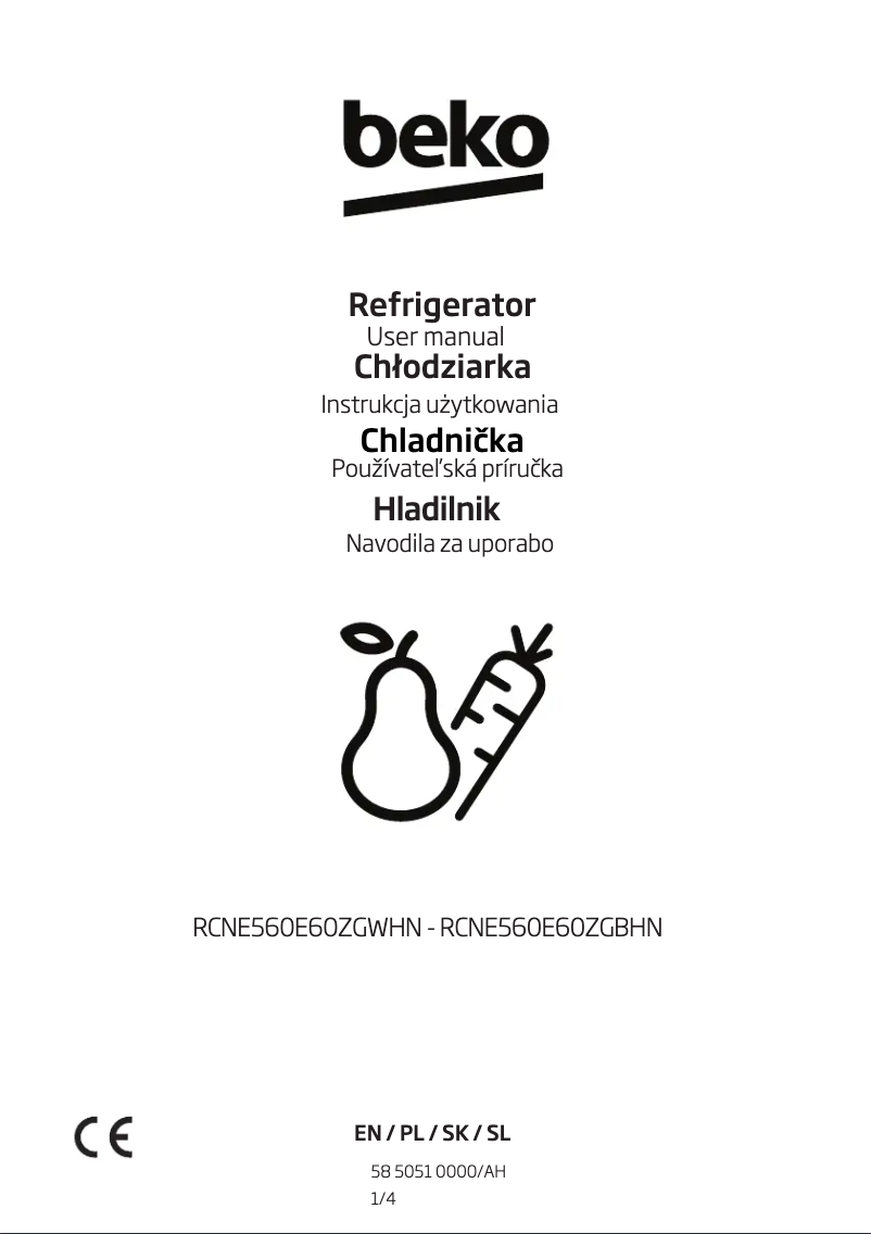 Page n°1 - Manuel utilisateur Beko RCNE560E60ZGBHN