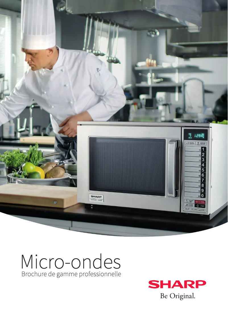 Page 1 de la notice Brochure Sharp YB-S4202AE