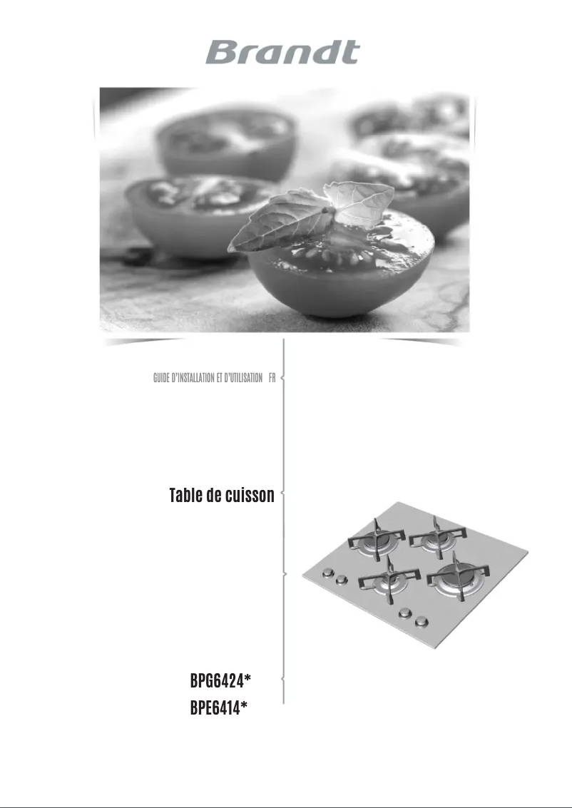 Image de la première page du manuel de l'appareil BPE6411FM