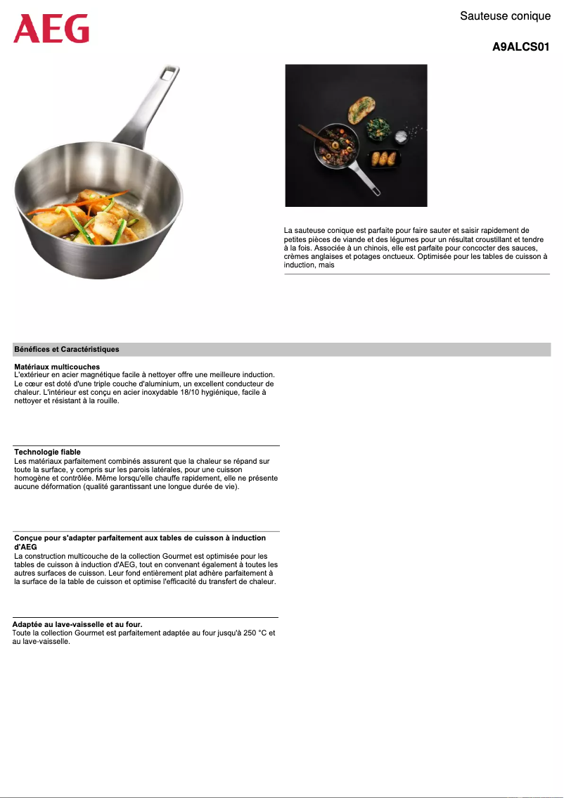Página 1 del manual Ficha técnica AEG A9ALCS01