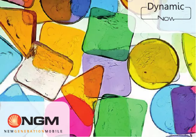 Page n°1 - Manuel utilisateur NGM-Mobile Dynamic Now