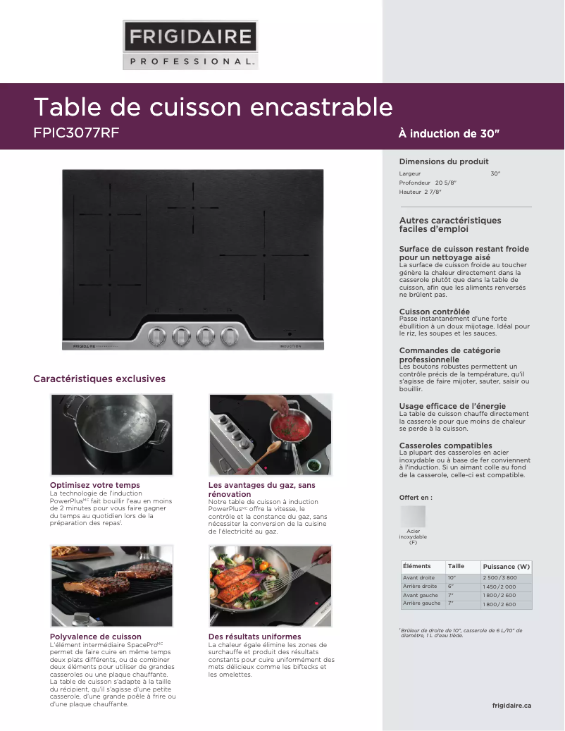 Image de la première page du manuel de l'appareil FPIC3077RF