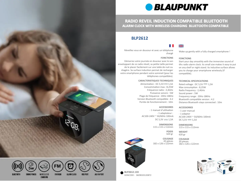 Page n°1 - Fiche technique Blaupunkt BLP2612