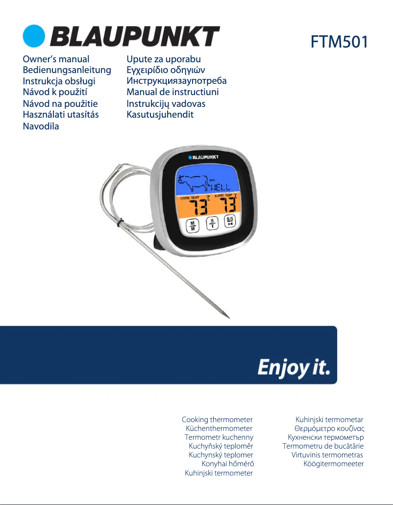 Página 1 del manual Manual de usuario Blaupunkt FTM501