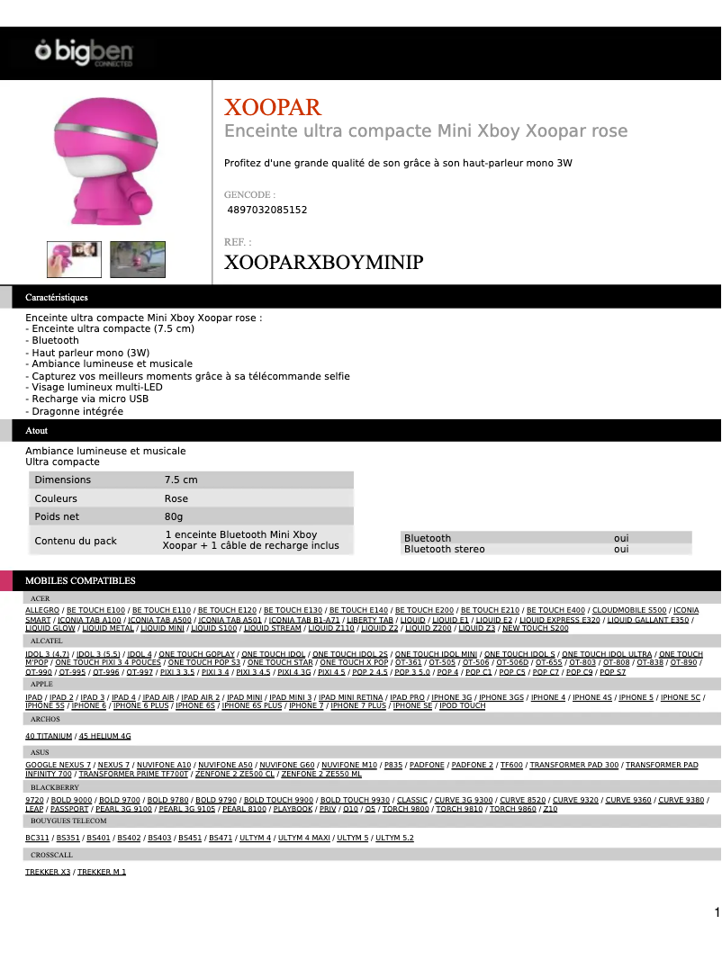 Imagen de la primera página del manual del dispositivo Mini Xboy Xoopar