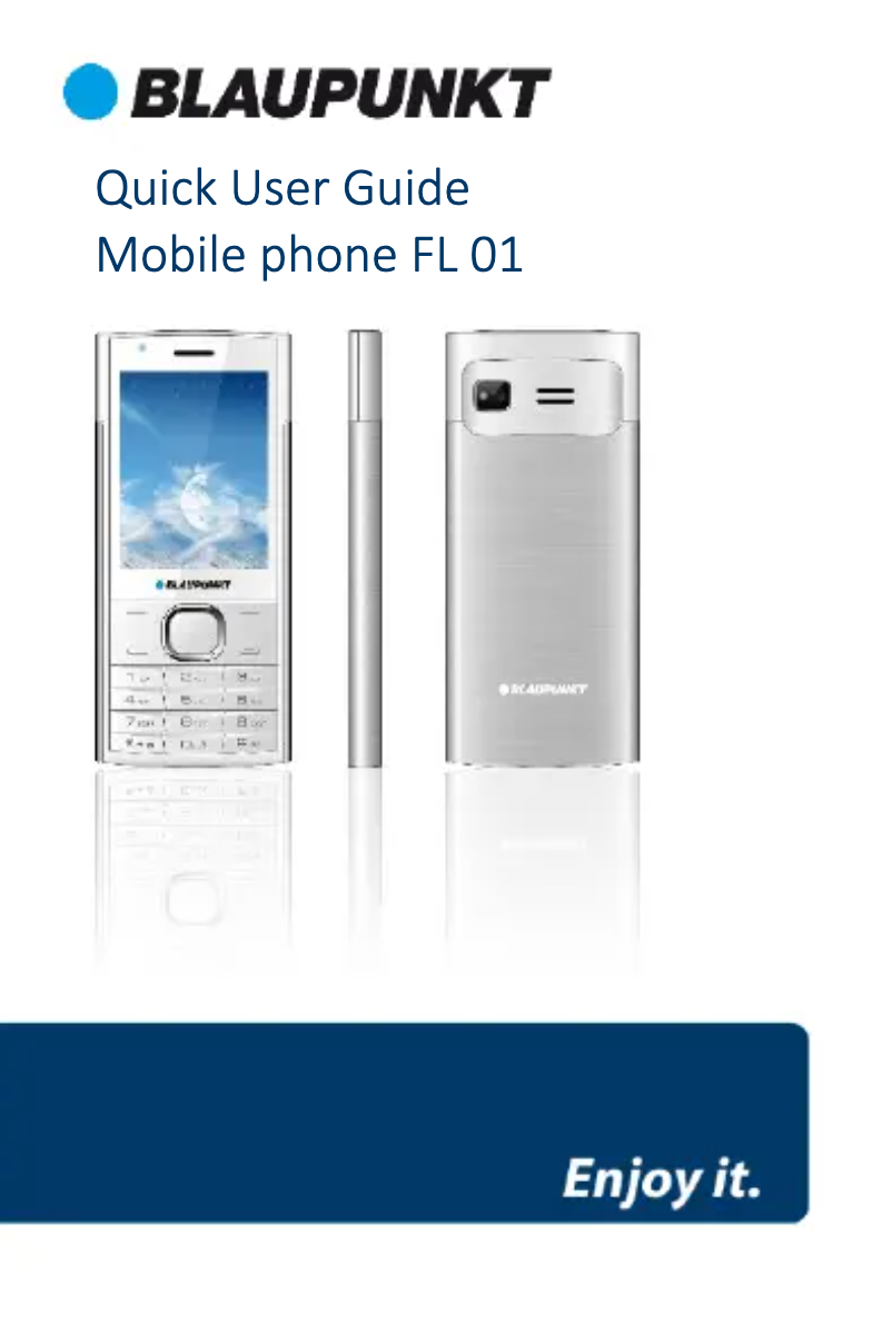 Page 1 de la notice Manuel utilisateur Blaupunkt FL 01