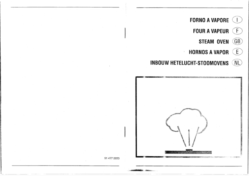 Image de la première page du manuel de l'appareil S301X-5