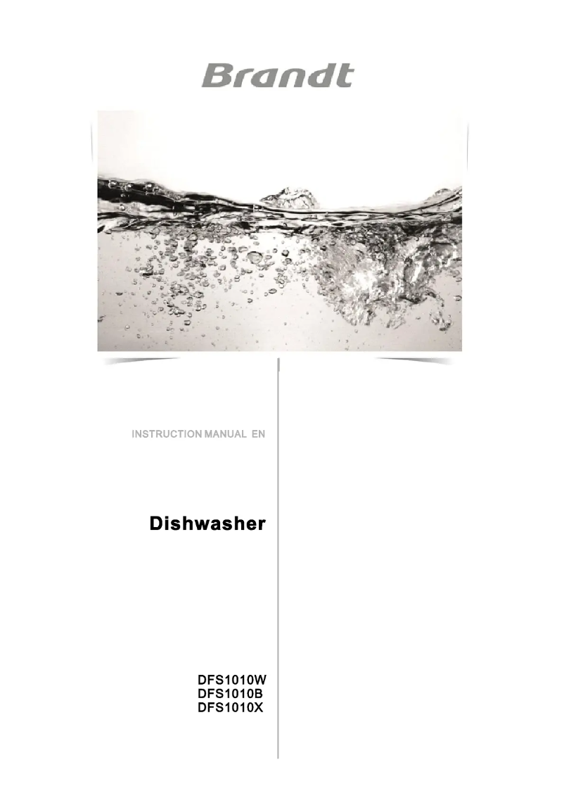Page n°1 - Manuel utilisateur Brandt DFS1010B