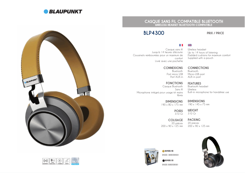 Page n°1 - Manuel utilisateur Blaupunkt BLP4300