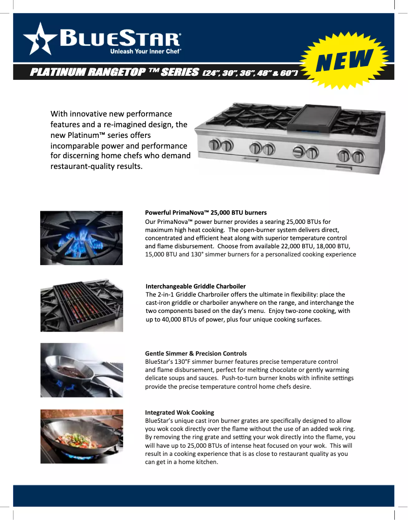 Page 1 de la notice Fiche technique BlueStar BSPRT366B