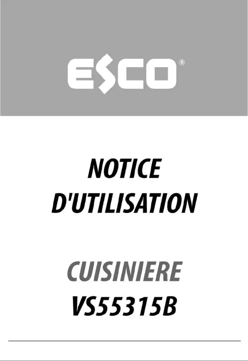 Page 1 de la notice Manuel utilisateur Esco VS55315B
