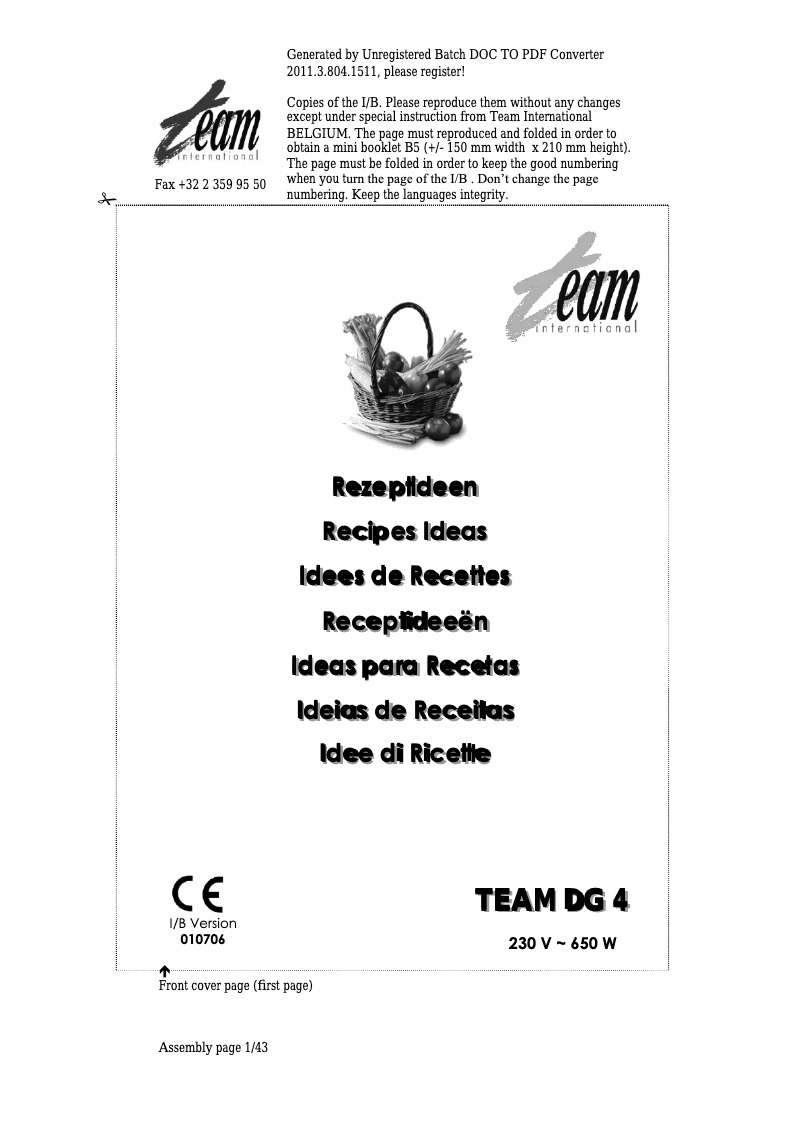 Page 1 de la notice Manuel utilisateur Team DG 4