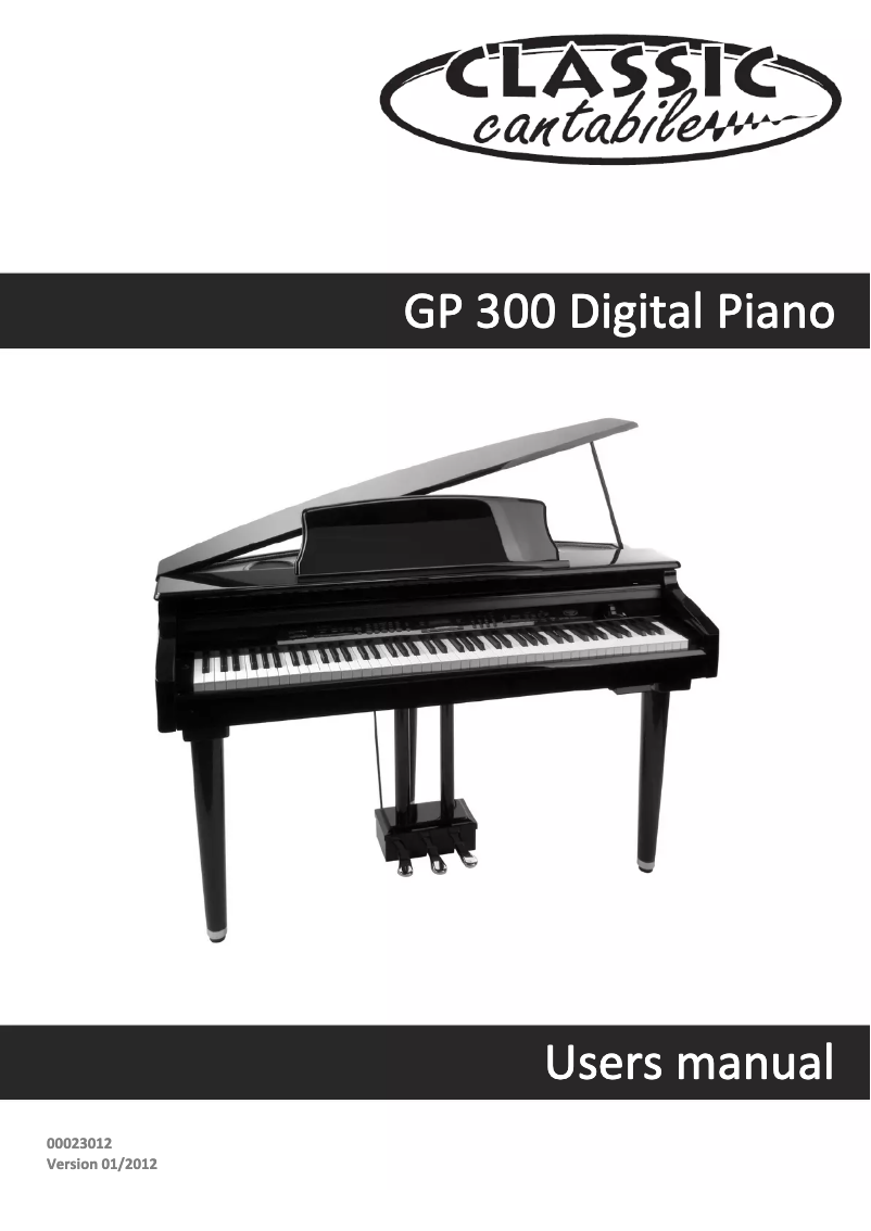 Image de la première page du manuel de l'appareil GP 300