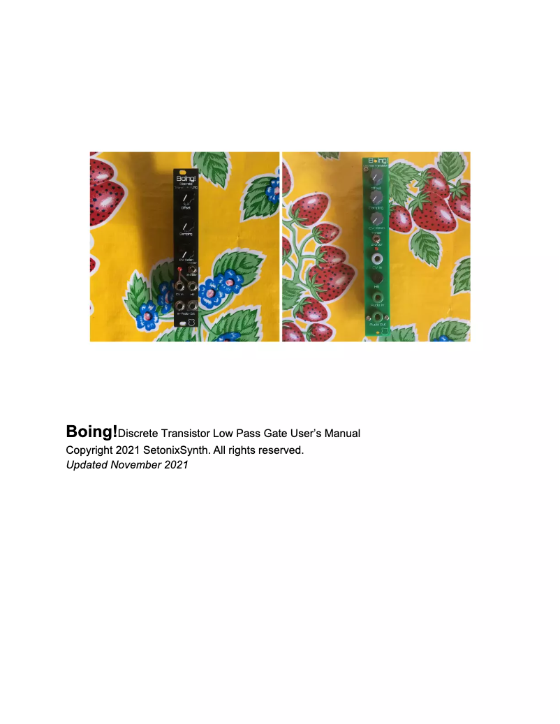 Page n°1 - Manuel utilisateur SetonixSynth Boing!