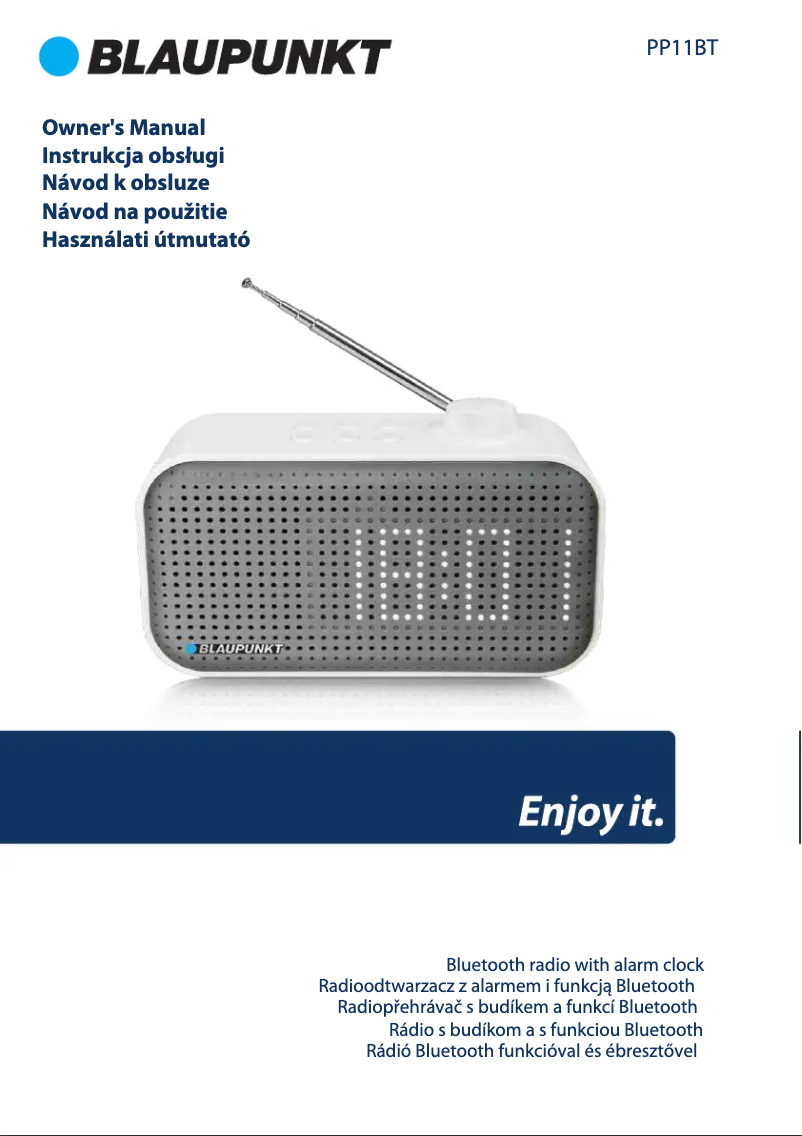 Page 1 de la notice Manuel utilisateur Blaupunkt PP11BT