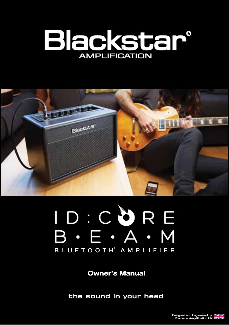 Page 1 de la notice Manuel utilisateur Blackstar FS-11