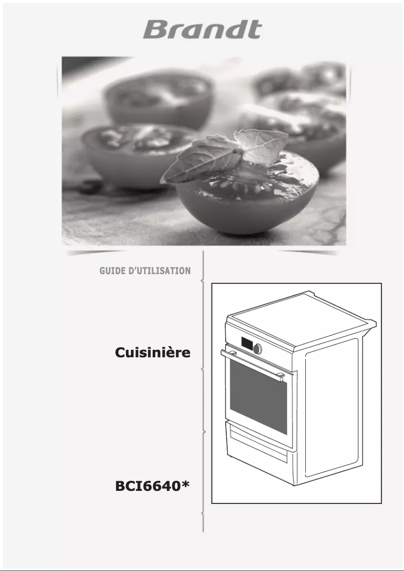 Imagen de la primera página del manual del dispositivo BCI6640T