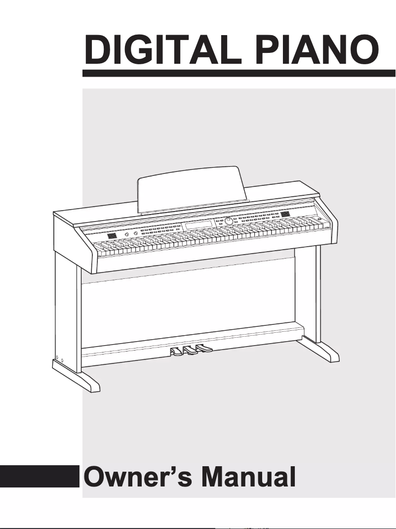 Página 1 del manual Manual de usuario Medeli DP330
