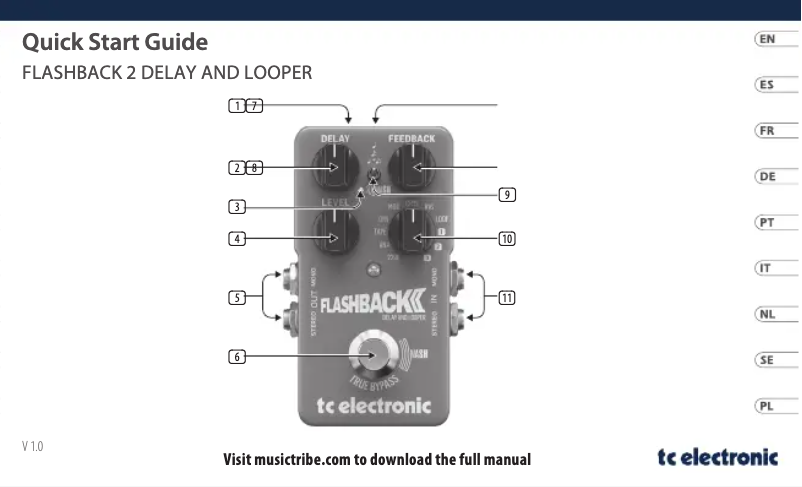 Image de la première page du manuel de l'appareil Flashback 2 Delay