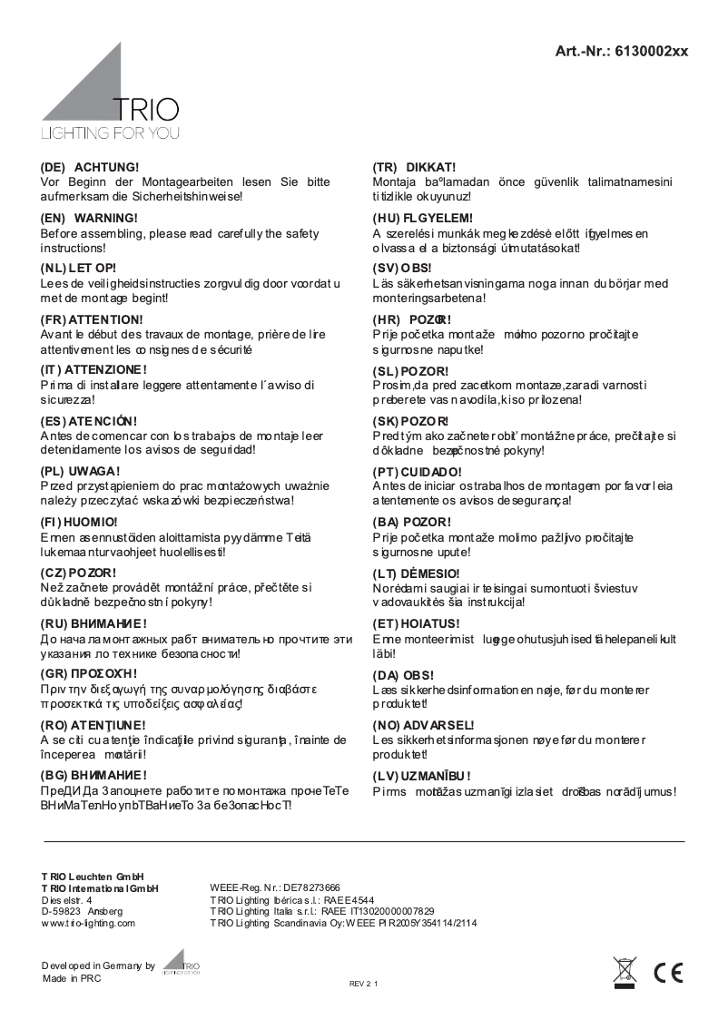 Page 1 de la notice Manuel utilisateur Trio Lighting Biscuit 613000231