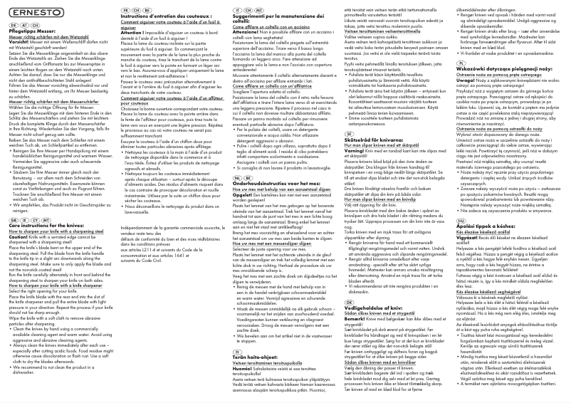 Página 1 del manual Manual de usuario Ernesto IAN 106854