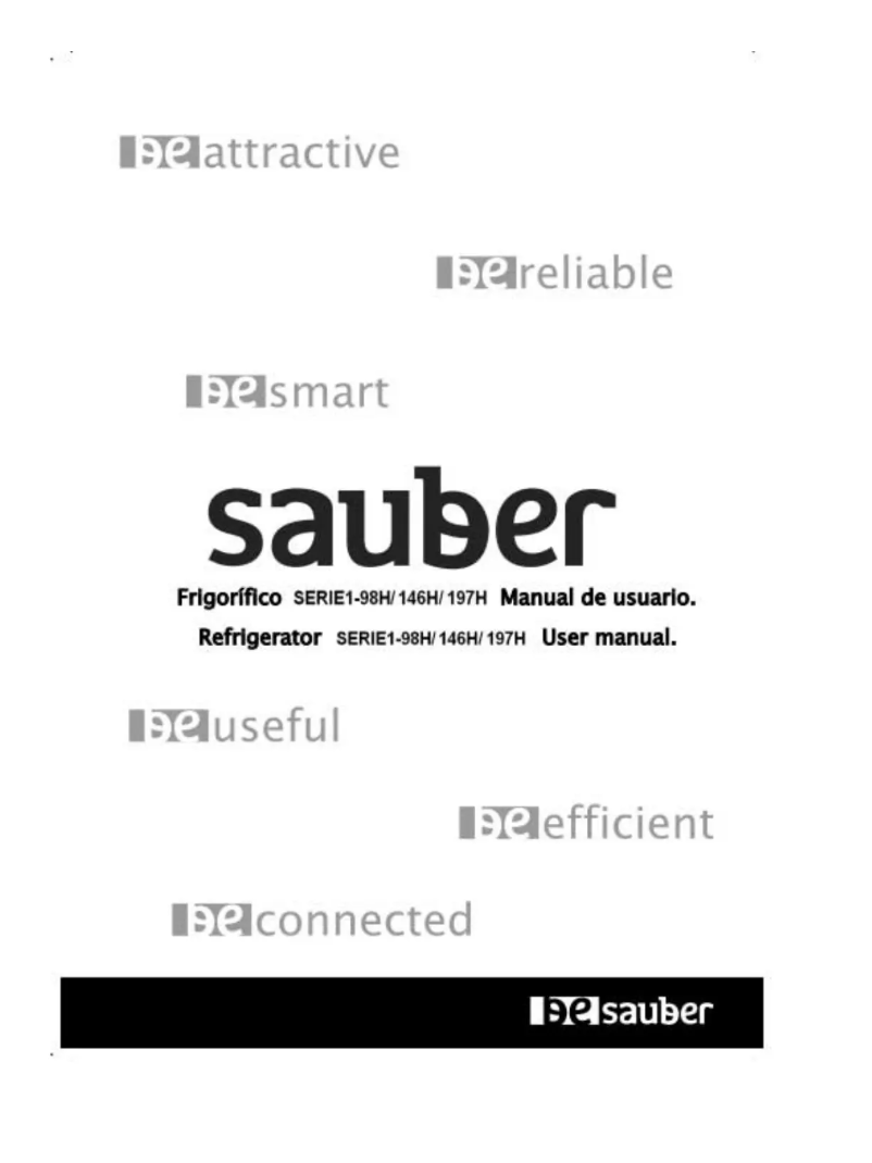 Image de la première page du manuel de l'appareil SERIE 1-197H