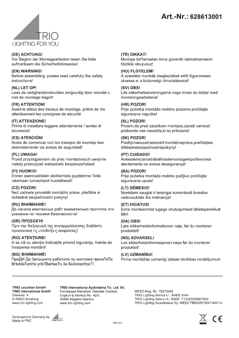 Page 1 de la notice Manuel utilisateur Trio Lighting Samurai 628613001
